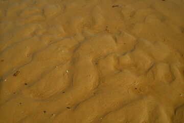 closeup detail of wet sand waves on the beach