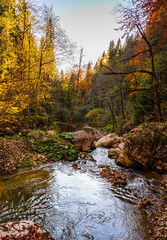 river in autumn forest