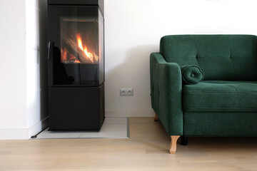 Modern scandinavian living room with green sofa and a modern freestanding contemporary fireplace.