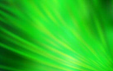 Light Green vector background with straight lines.