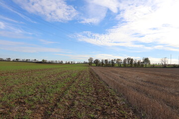 Fototapeta na wymiar Les grandes terres, grande zone verte publique au milieu des champs, dans une zone agricole, ville de Corbas, département du Rhône, France