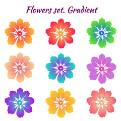A set of flowers in different gradient colors. Trendy colors. Blooming buds. On an isolated white background. This pattern can be used for design, pattern creation, site pages.