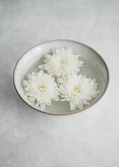 Fototapeta na wymiar white flower in a bowl on grey background