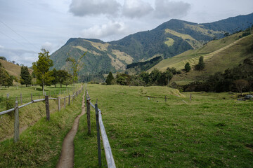 Fototapeta na wymiar Weg in die Berge; Valle de Cocora; Kolumbien