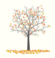 Naklejka na ściany i meble Autumn tree with red and yellow fallen leaves 