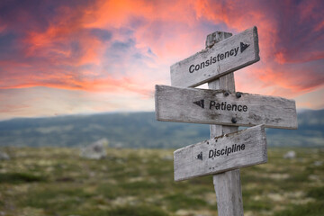 consistency patience discipline text engraved in wooden signpost outdoors in nature during sunset...