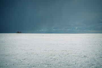 Obraz premium sea and sky