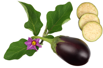 Eggplant isolated on white