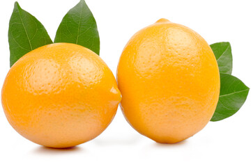 Lemons isolated on white background