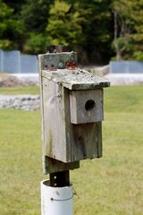 A close view of the old wood birdhouses in the park.