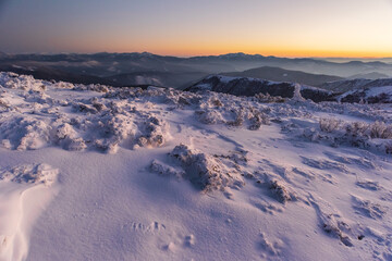 Frosty snowy winter on a mountain range in the evening in the Ukrainian Carpathians © reme80