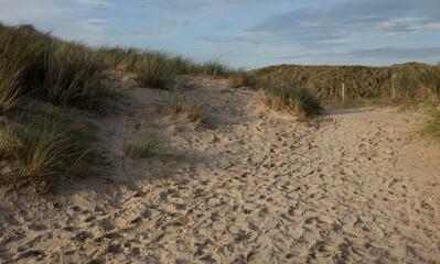 Dunes. North sea coast. Julianadorp. Netherlands.