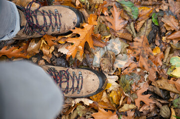 Wanderer im herbstlichen Wald