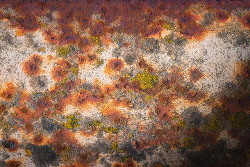 Fototapeta na wymiar Old rusted white wall with colorful molds