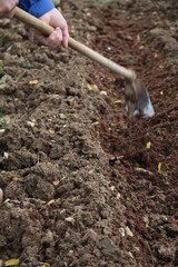 Mani che lavorano nel campo