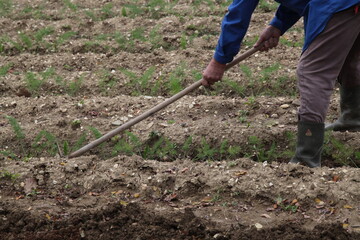 Mani che lavorano nel campo