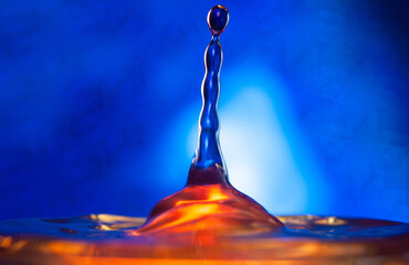 A drop falls on the surface of the water