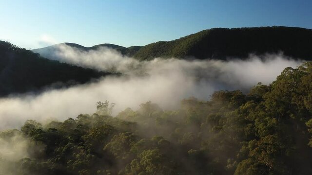 2020 - Very good aerial through the mist surrounding the Blue Mountains of New South Wales, Australia.