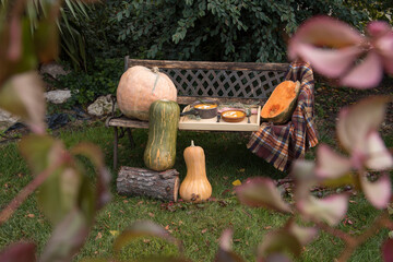 Bench in a garden decorated with pumpkins for Halloween with pumpkin soup on it
