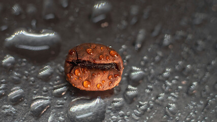 Macro Coffee bean. Coffee bean as drop. Grey background.