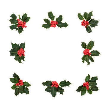 Natural winter, Christmas & New Year square holly berry wreath on white background. Abstract minimal xmas holiday theme & border for the festive season.
