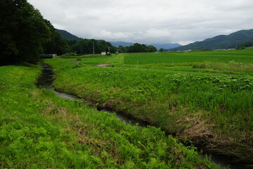 田園風景　水路　田舎　夏　白馬　長野