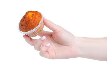 muffin in hand on white background isolation