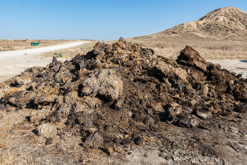 mountain of manure to fertilize the plants