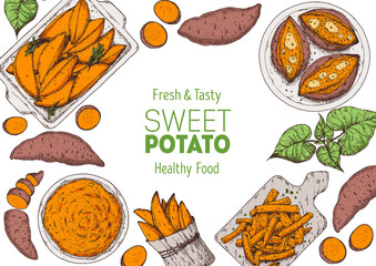 Sweet potato illustration. Batatas hand drawn vector illustration. Farm market food. Raw and cooked sweet potatoes hand drawn. Packaging design.