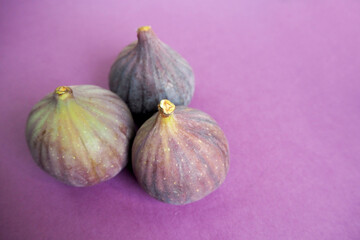 three ripe whole round figs on a lilac background side view