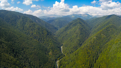 The wild forests of Parang Mountains seen from above in a sunny and clear summer day.