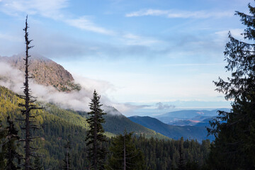 Beautiful landscape view of Hurricane Ridge during the day in Olympic National Park (Washington).