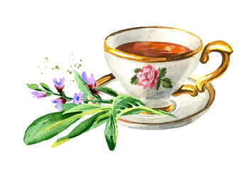 Cup of tea with Sage. Hand drawn watercolor illustration isolated on white background