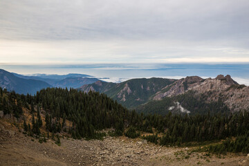 Beautiful landscape view of Hurricane Ridge during the day in Olympic National Park (Washington).