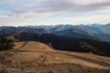 Beautiful landscape view of Hurricane Ridge during the day in Olympic National Park (Washington).