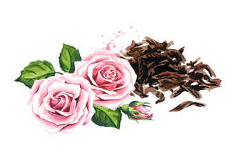 Heap of dry tea leaves and rose flower. Hand drawn watercolor illustration isolated on white background