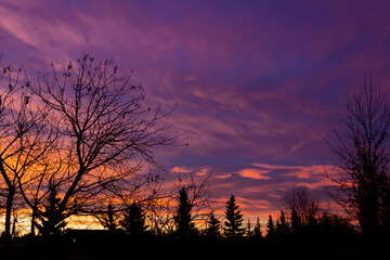Sunrise over Trees, Lloydminster Alberta Canada