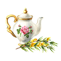 Teapot and rooibos. Hand drawn watercolor illustration isolated on white background