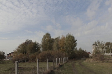 Fototapeta premium landscape with fence