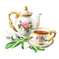 Teapot, cup of tea and Sage. Hand drawn watercolor illustration isolated on white background