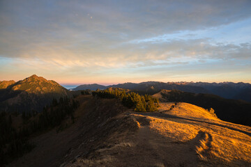 Beautiful landscape view of Hurricane Ridge in Olympic National Park during sunset (Washington).