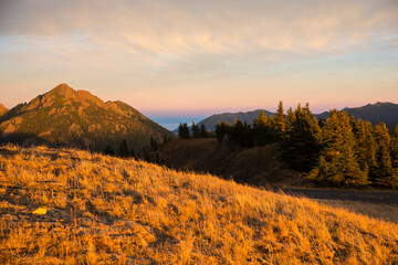 Beautiful landscape view of Hurricane Ridge in Olympic National Park during sunset (Washington).