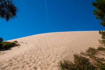 Pilat Dune