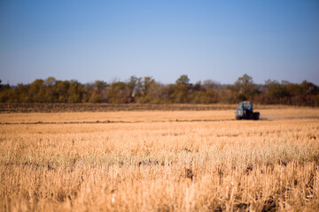 the tractor plows the field in autumn