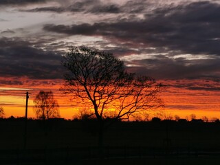 Sonnenuntergang auf Usedom