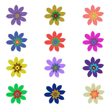 A set of flowers in different colors. Trendy colors. Blooming buds. On an isolated white background. This template can be used for design, pattern creation, site pages.