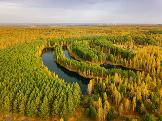 Aerial view of beautiful natural landscape. Lake in pine autumn forest