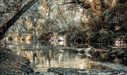Medio ambiente de la sierra de Huelva. paisajes de fantasía de la tierra media y bosques de otro tiempo. © J.M. Tornero