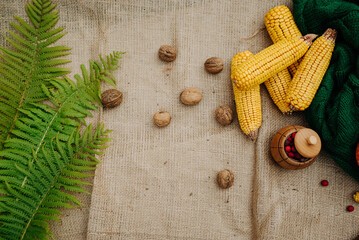 autumn harvest, corn, nuts, red berries on a brown tablecloth in the garden 1