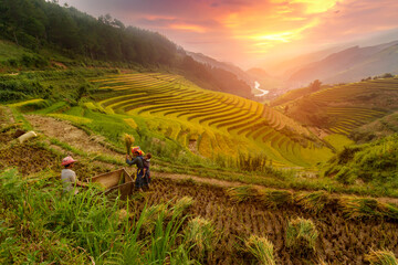 Vietnam rice terraces in Mu cang chai,Yenbai,Vietnam.